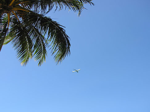 Flugzeug