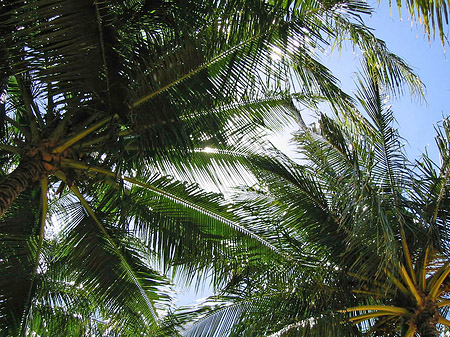 Trinity Beach Fotos