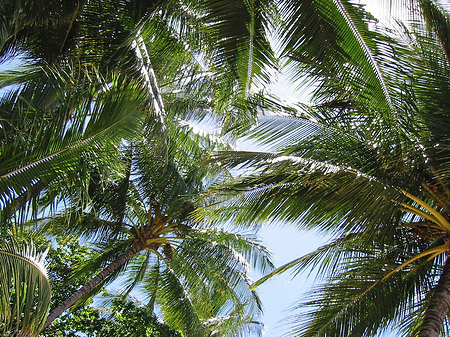 Fotos Trinity Beach