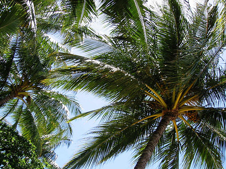 Trinity Beach Fotos
