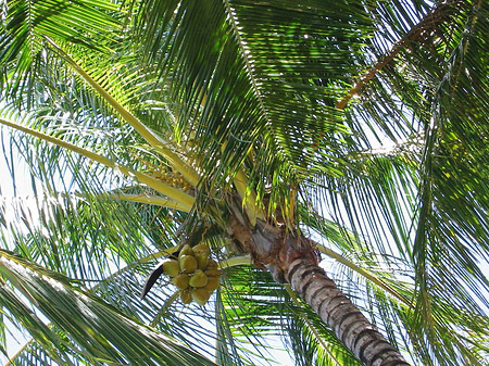 Fotos Trinity Beach