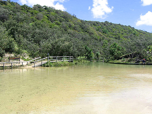 Strand von Eli Creek