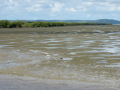 Fotos Fraser Island | 