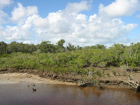 Foto Fraser Island