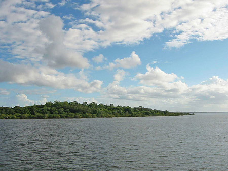 See Fotos