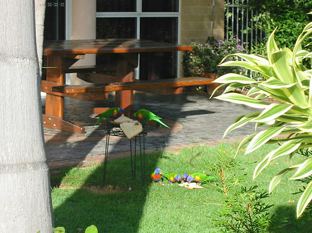 Foto Hotel Ambassador
