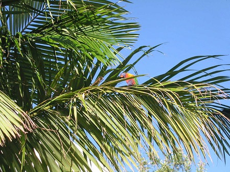 Hotel Ambassador Fotos