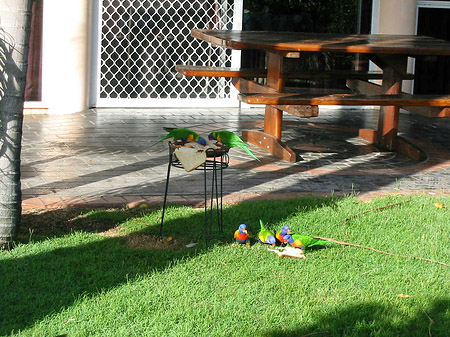 Fotos Hotel Ambassador | 