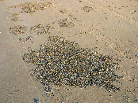 Fotos Sand