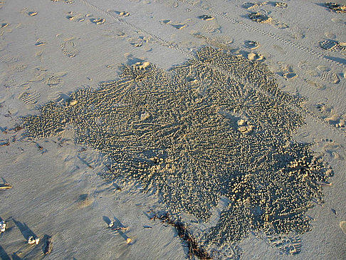 Foto Sand