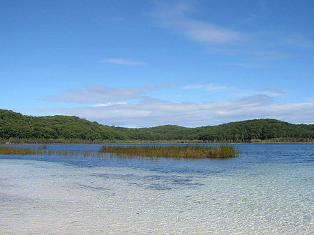 Foto Lake Birrabeen - 