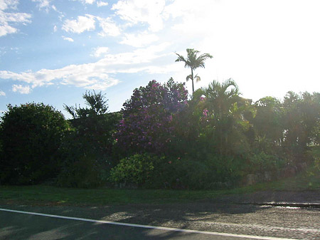 Fotos Fahrt nach Port Macquarie