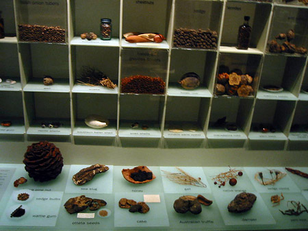 Fotos Südaustralienmuseum | Adelaide