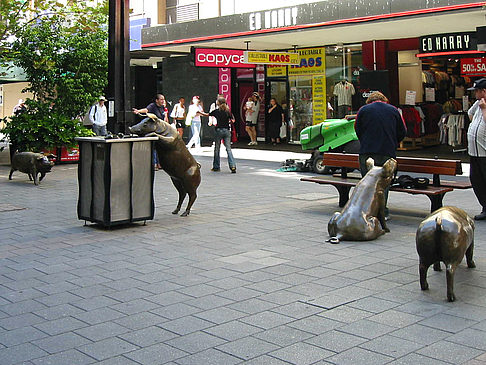 Fotos Statue