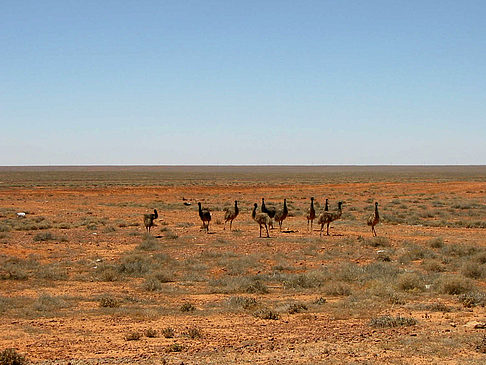 Coober Pedy