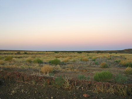 Foto Outback