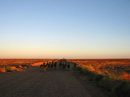 Straße im Outback