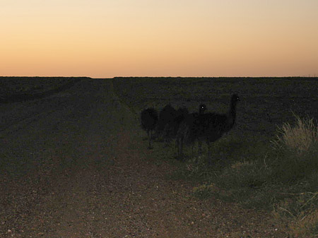 Fotos Straße im Outback