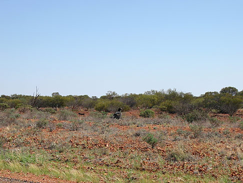 Landschaft Foto 