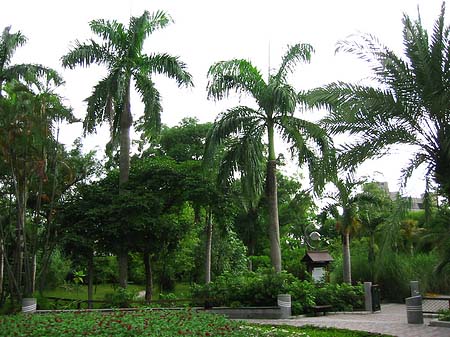 Botanischer Garten - Taiwan (Taipeh)