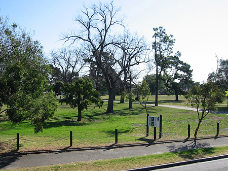 Park Foto 