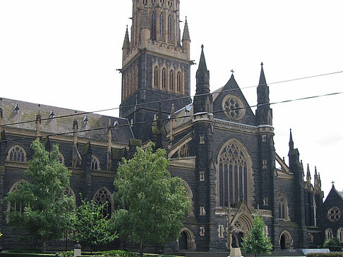 Fotos St. Patrick's Cathedral | Melbourne